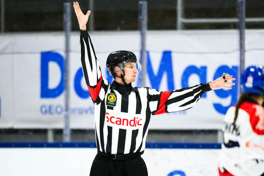 Domare Markus Yngvesson