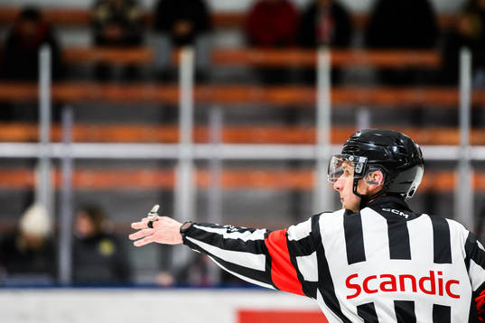 Domare Markus Yngvesson