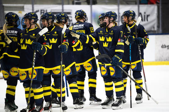 Sveriges spelare