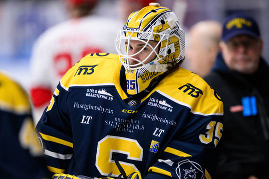 Södertäljes målvakt Tomas Sholl