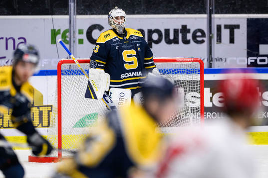 Södertäljes målvakt Claes Endre