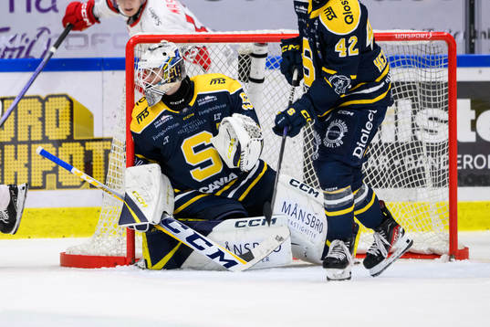 Under ishockeymatchen i Hockeyallsvenskan mellan