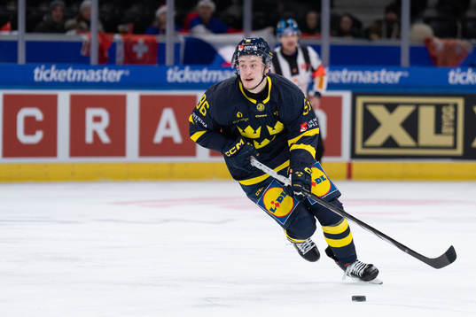 Pontus Andreasson of Sweden in the ice hockey game between