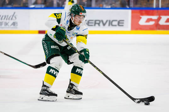 Björklövens Joel Mustonen