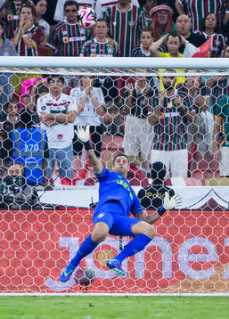 Goalkeeper Fabio of Fluminense