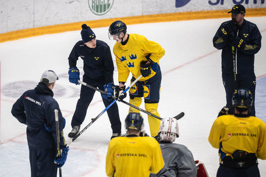 Goaltender coach Viktor Alm and Anton Johansson of the