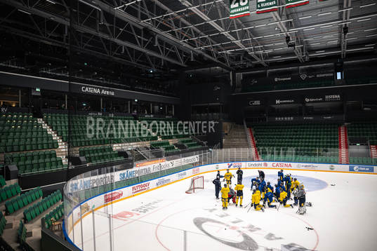 Players of the Swedish under-20 national ice hockey team