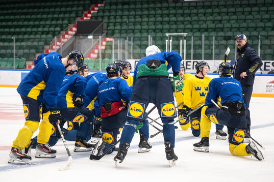 Players of the Swedish under-20 national ice hockey team