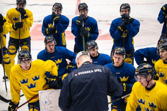 Players of the Swedish under-20 national ice hockey team