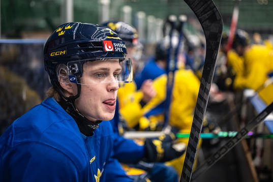 Elias Pettersson of the Swedish under-20 national ice