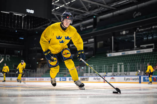 Mattias Hävelid of the Swedish under-20 national ice