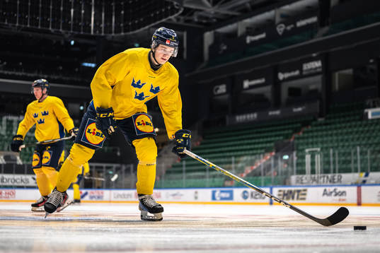 Mattias Hävelid of the Swedish under-20 national ice