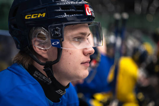Elias Pettersson of the Swedish under-20 national ice