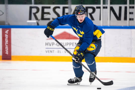 Elias Pettersson of the Swedish under-20 national ice