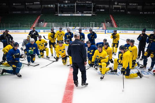 Players of the Swedish under-20 national ice hockey team