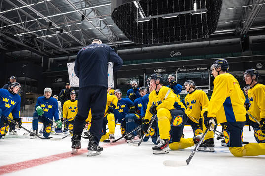 Players of the Swedish under-20 national ice hockey team