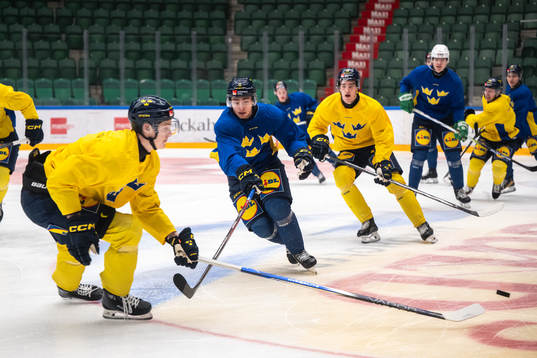 Isac Born of the Swedish under-20 national ice hockey team