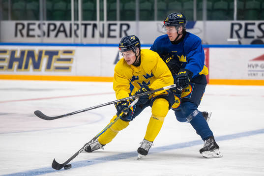 Mattias Hävelid and Jonathan Lekkerimäki of the Swedish