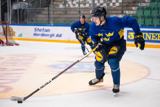 Anton Wahlberg of the Swedish under-20 national ice hockey