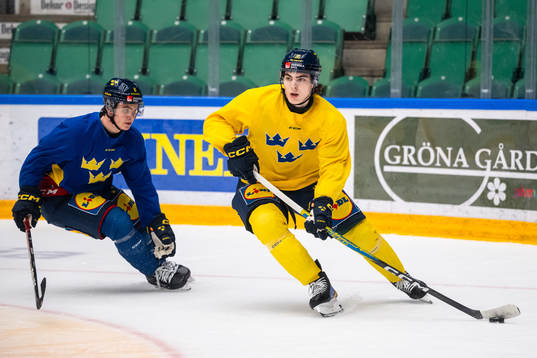 Jakob Norén and Liam Öhgren of the Swedish under-20