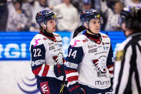 Linköpings Vilmos Gallo och Arvid Costmar deppar