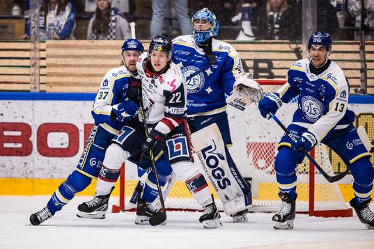 Leksands Anton Lindholm och Linköpings Vilmos Gallo och