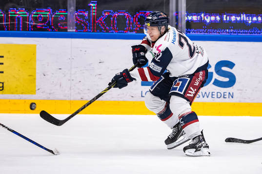 Linköpings Vilmos Gallo