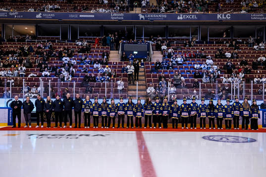 Dalarnas tjejers TV puck lag hyllas