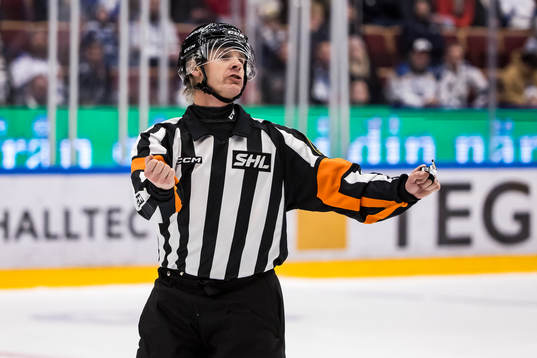 Domare Mikael Andersson