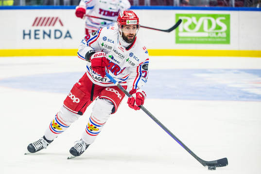 Timrås Robin Hanzl