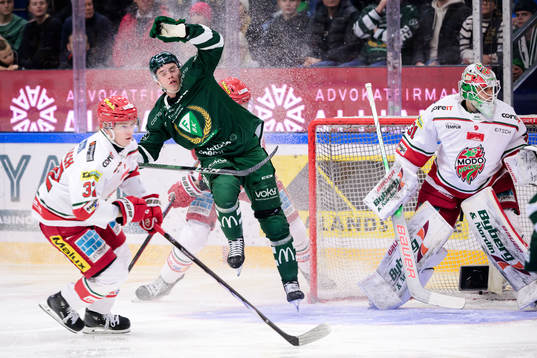 MoDos Theodor Niederbach och Färjestads Oscar Lawner