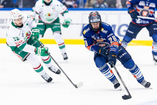 Rögles Daniel Zaar och Växjös Hugo Gustafsson