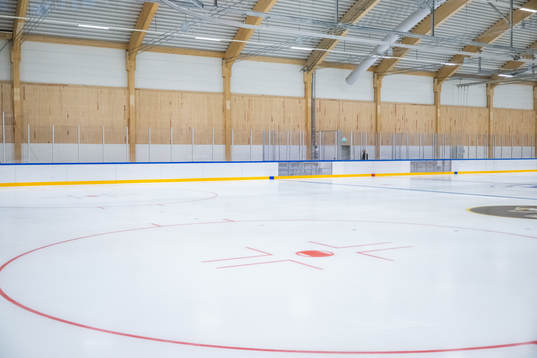 Isen i Slottsskogsrinken