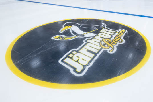 Järnbrott Penguins klubbemblem i isen i Slottsskogsrinken
