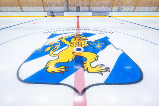 Göteborgs stadsvapen i isen i Slottsskogsrinken
