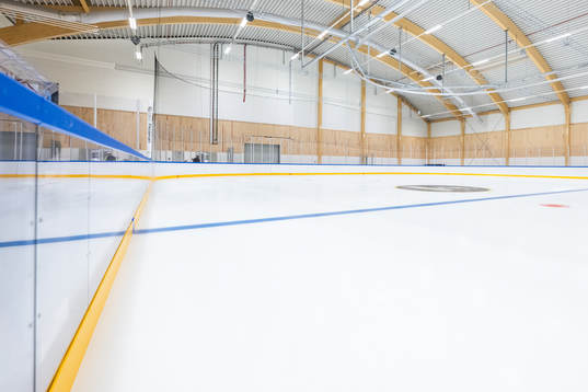 Slottsskogsrinken