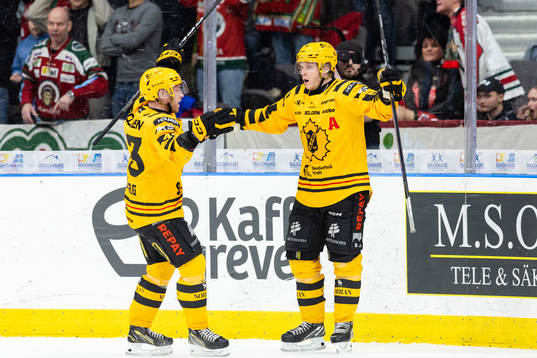 Skellefteås Rickard Hugg jublar