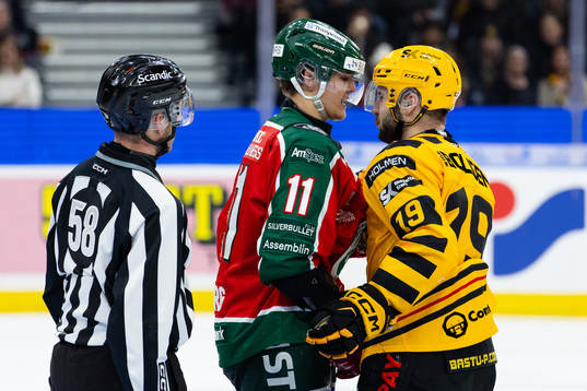 Frölundas Erik Borg och Skellefteås Martins Dzierkals