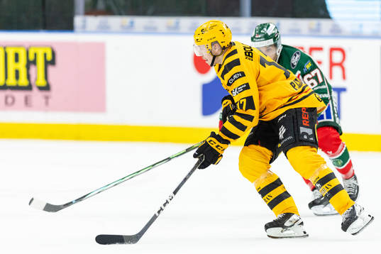 Skellefteås Pär Lindholm