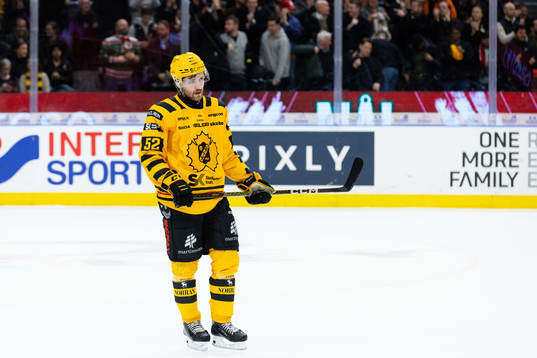 Skellefteås Arvid Lundberg deppar