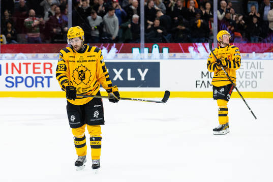 Skellefteås Arvid Lundberg och Jonathan Pudas deppar