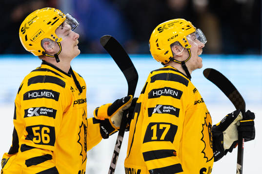Skellefteås Anton Olsson och Pär Lindholm deppar