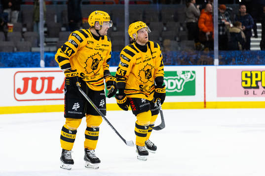 Skellefteås Andreas Johnson och Filip Sandberg  deppar