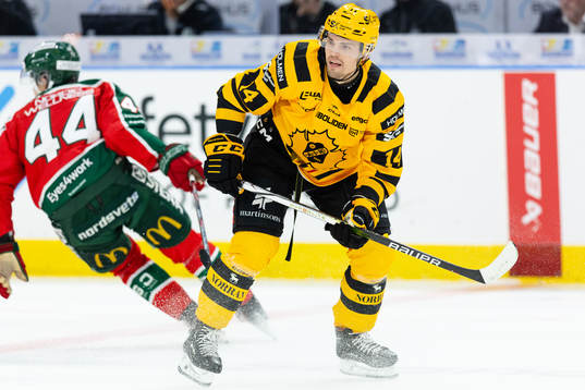 Skellefteås Andreas Johnson