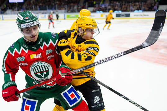 Frölundas Linus Högberg och Skellefteås Linus Lindström
