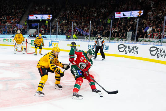 Skellefteås Pär Lindholm och Frölundas Erik Borg