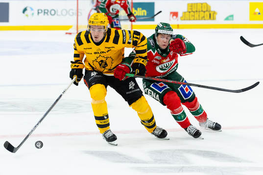 Skellefteås Max Lindholm och Frölundas Noah Hasa