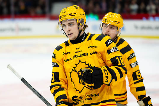 Skellefteås Elias Stenman deppar