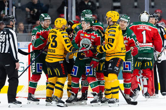 Skellefteås Filip Sandberg och Frölundas Max Friberg