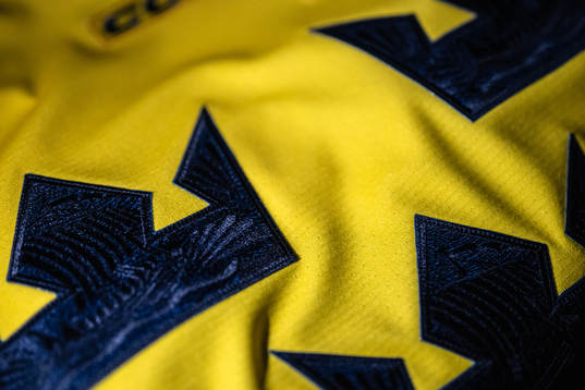 Details of the Swedish crowns of the march jersey of the